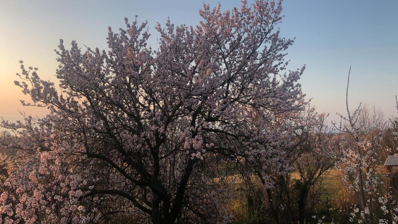 Panorama Balaton Villa Balatongyörök Екстериор снимка